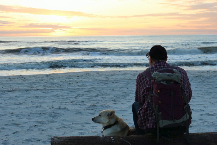 Blog 3 IMG_1093_Fotor