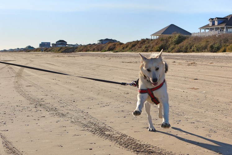 Blog 3 IMG_1192_Fotor