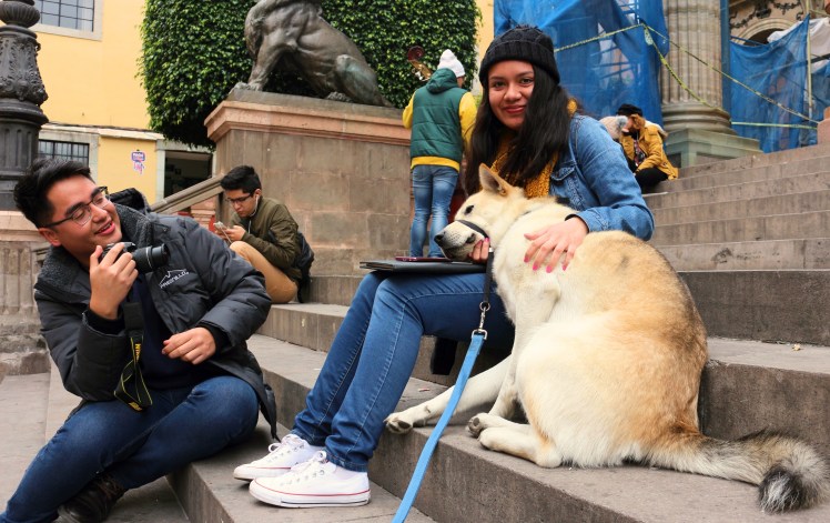 Blog5 Walter Cuddles_Fotor