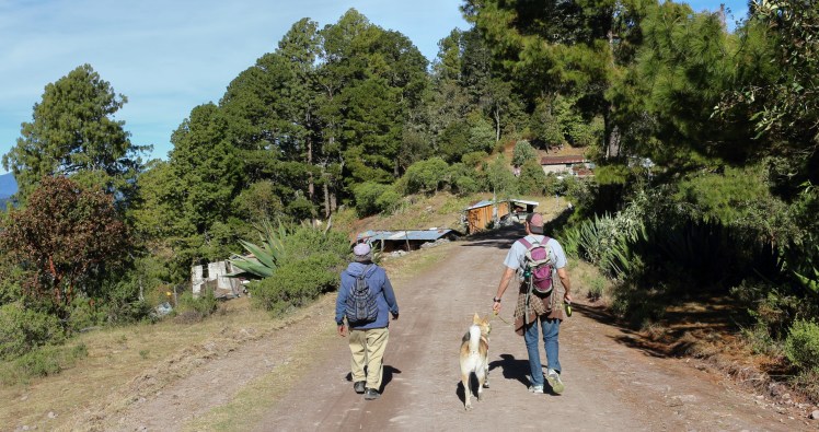 Blog6 on the hike_Fotor