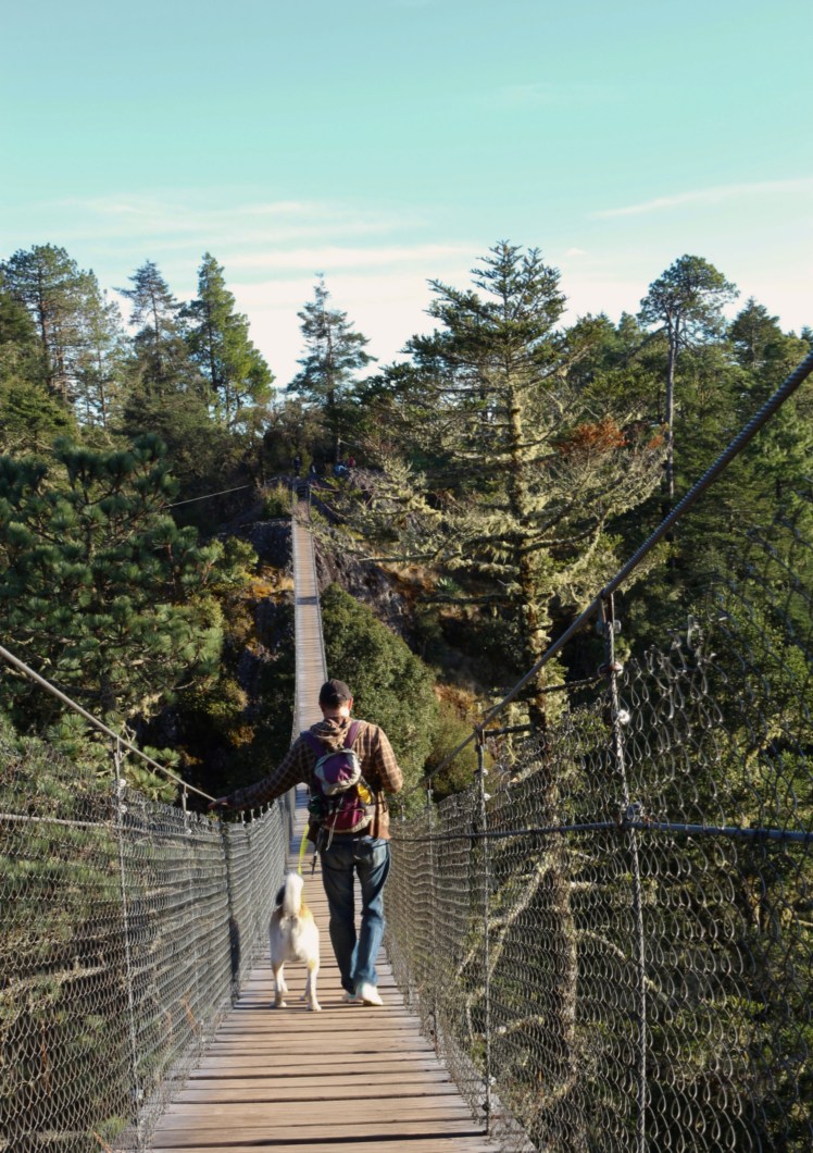 Blog6 Susp Bridge_Fotor