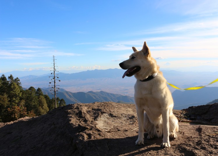 Blog6 Walter @ Mirador_Fotor