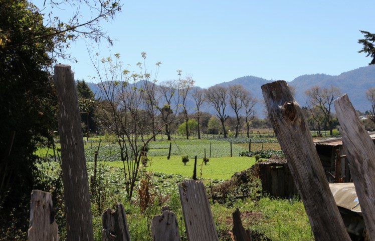 Blog7 San Cris Field_Fotor