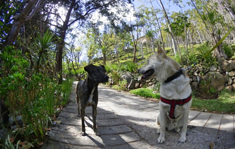 Blog7 W Making Friends_Fotor