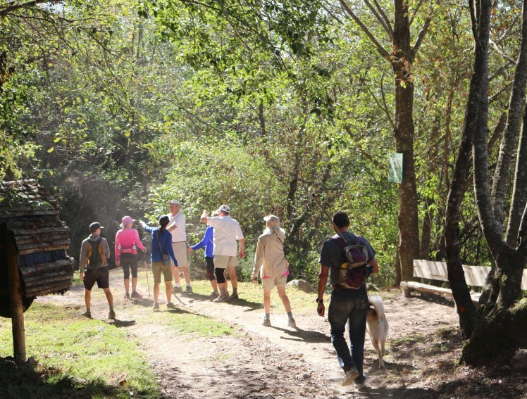 Blog10 Group pointing_Fotor