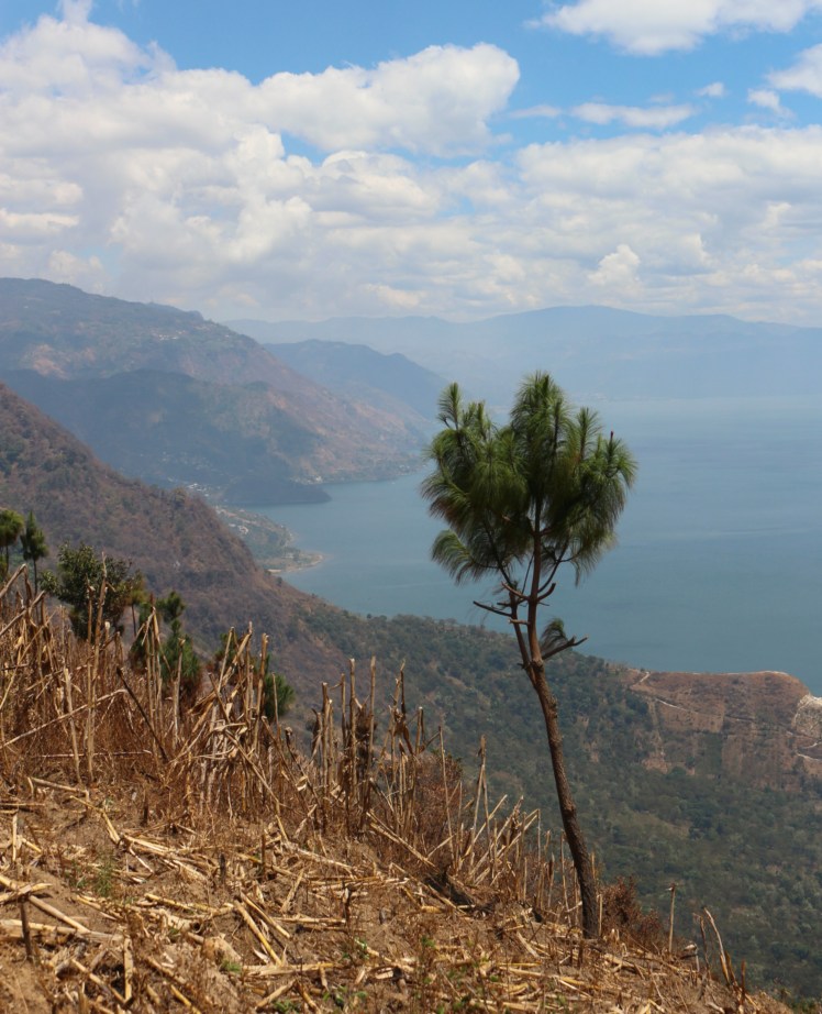 Blog10 Ridgeview_Fotor