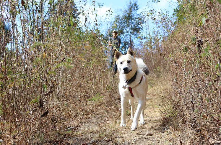 Blog10 Walter Pulling_Fotor