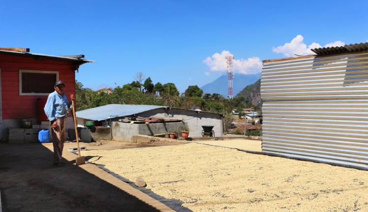 Blog9 Coffee Beans_Fotor