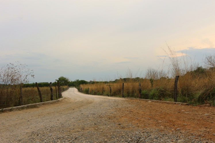 Open Road Colon_Fotor