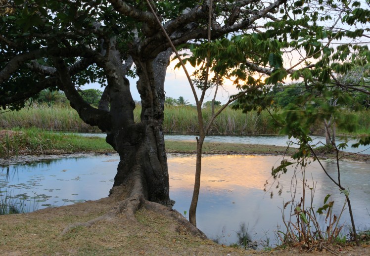 Sunset @ Colon_Fotor