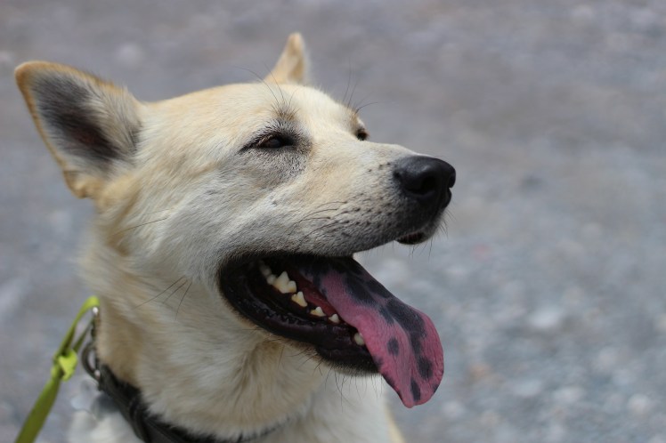 Hid Walter Port_Fotor