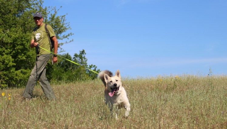 B15 Walter field_Fotor