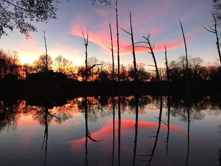 3kydo2b41t6gdofcqb1o8ua