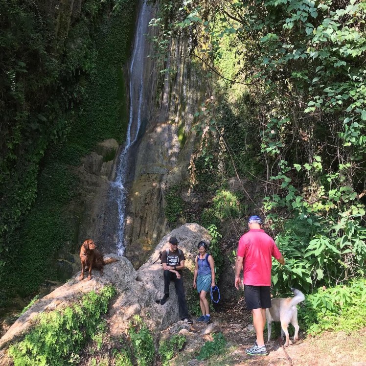 7A3945E3-172A-468B-AE82-E3329F1D566E