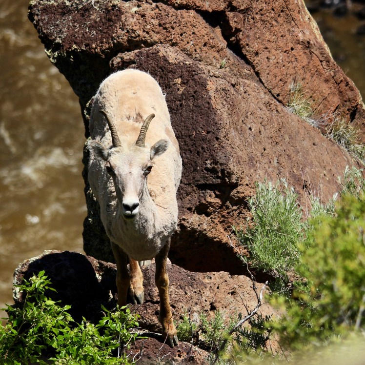 0FF1878D-D15C-438F-96F4-6A20109C2D5C