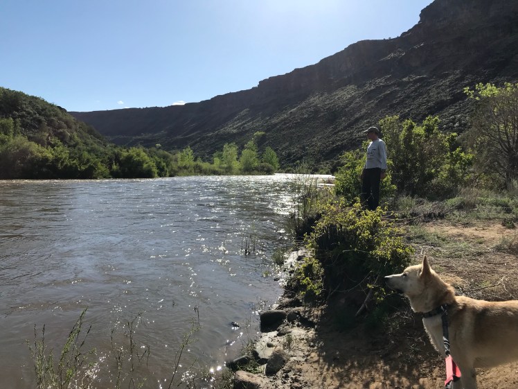 iuOacBp0Shyvnn+oTjhgng