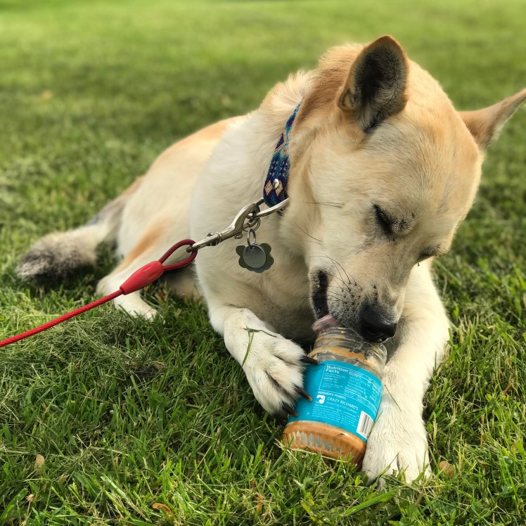 8C06B830-C244-49E4-885E-E43D4380DDE9