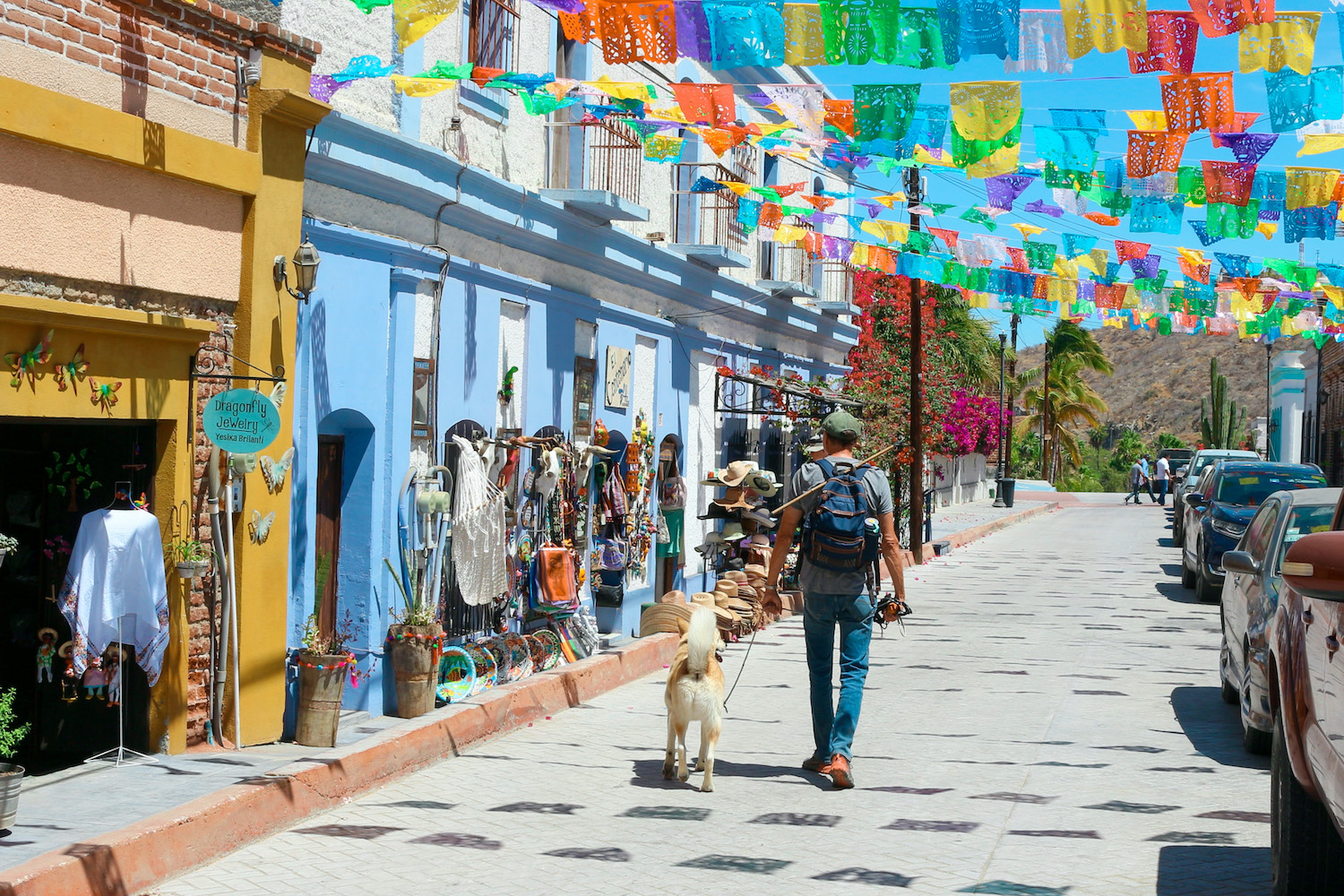 Is Todos Santos too Touristy? Vanlife Adventures in Baja, Mexico