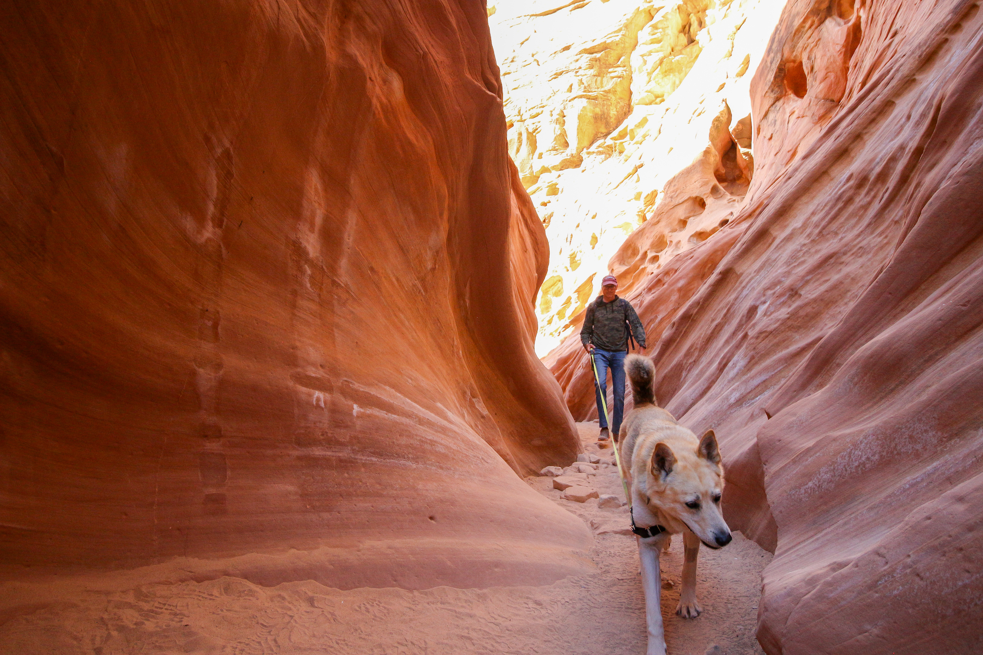 Little Wild Horse slot canyon, dog-friendly