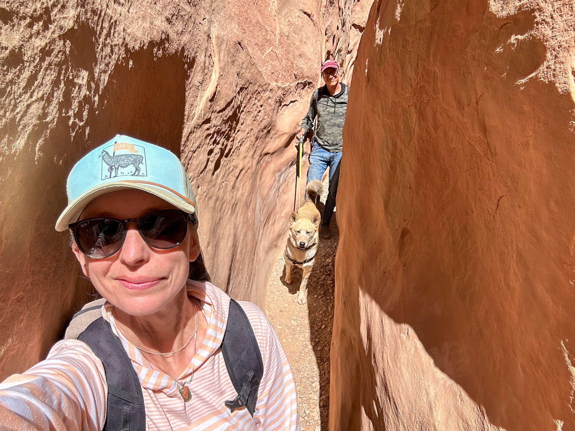 Little Wild Horse slot canyon, dog-friendly