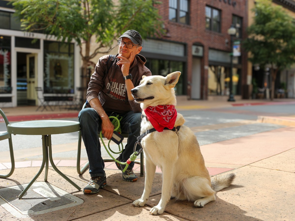 When Vanlife Gives You Lemons, Make Lemonade: San Luis&nbsp;Obispo