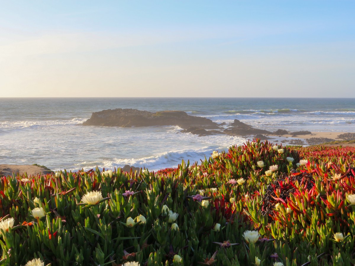 Why We Abandoned You On the California&nbsp;Coast